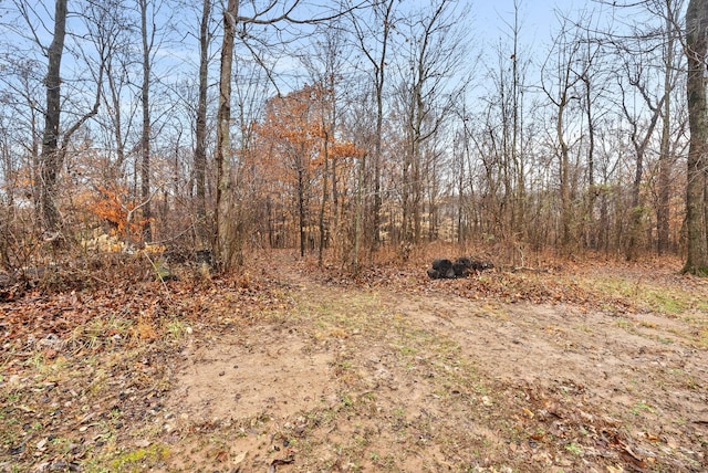 view of local wilderness