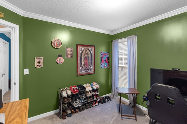 carpeted home office with crown molding and a textured ceiling