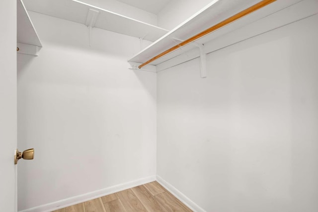 spacious closet with light wood-type flooring