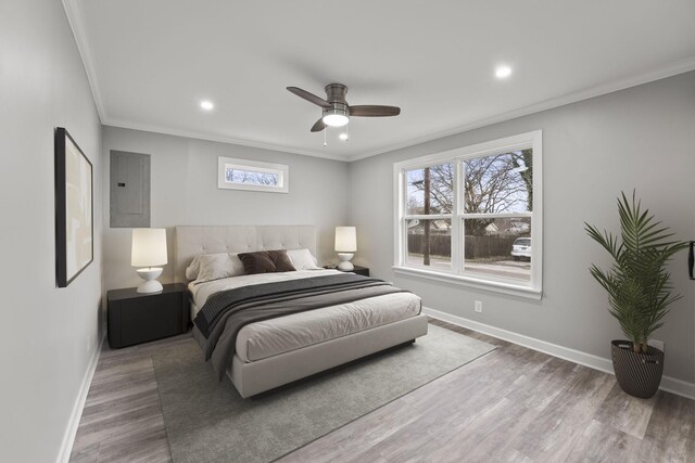 bedroom featuring multiple windows, wood finished floors, electric panel, and baseboards