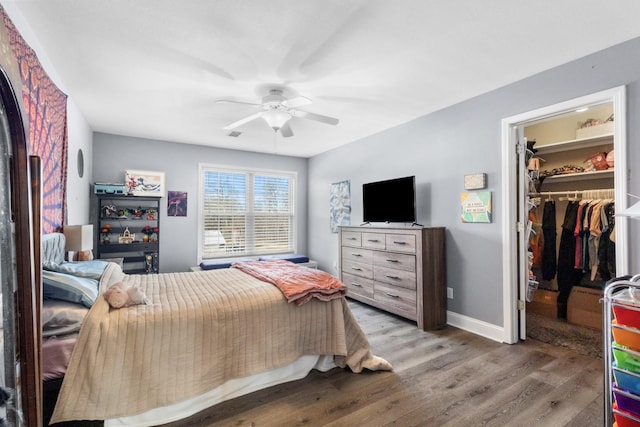 bedroom featuring hardwood / wood-style flooring, a walk in closet, ceiling fan, and a closet