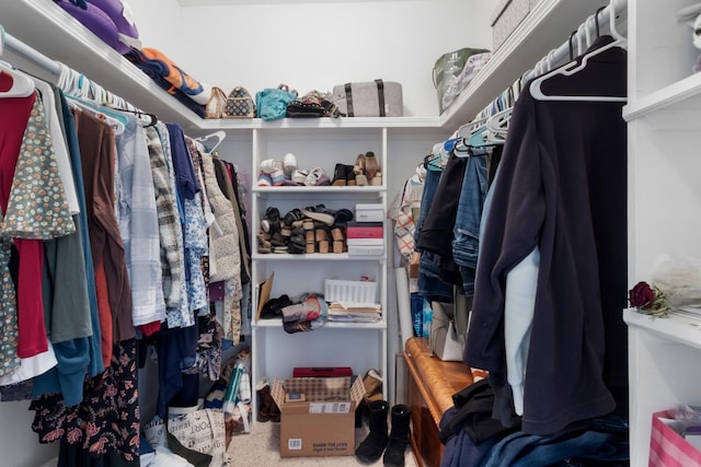 walk in closet with carpet floors