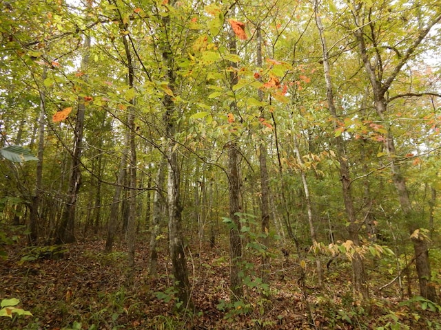 view of nature