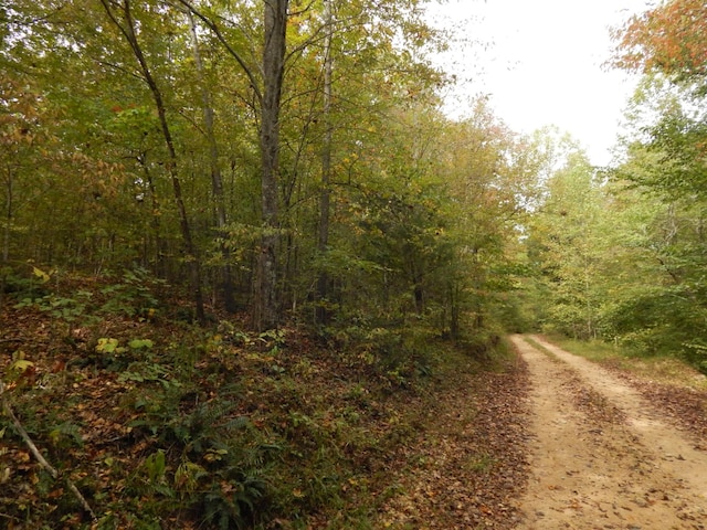 view of road