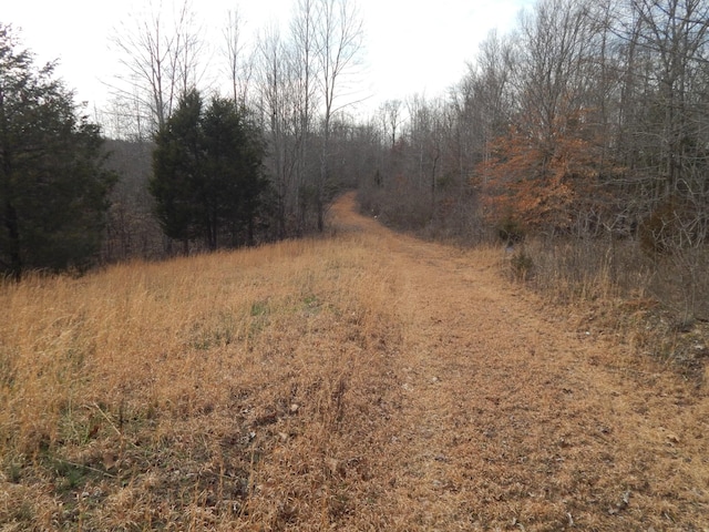 view of local wilderness