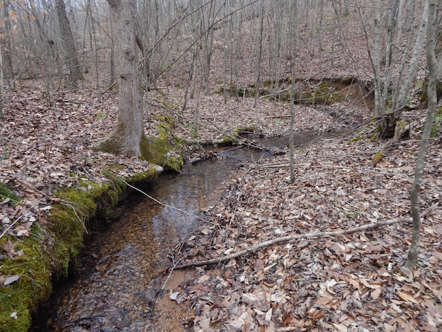 view of local wilderness