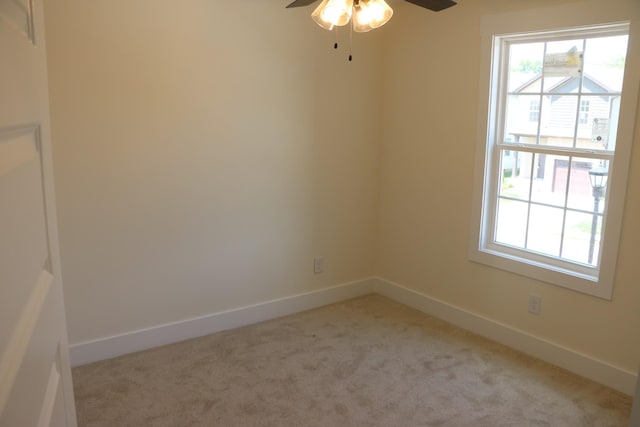 4 Charleston Cv, Clarksville, TN 37043 - photo 20