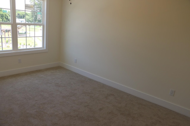 4 Charleston Cv, Clarksville, TN 37043 - photo 22