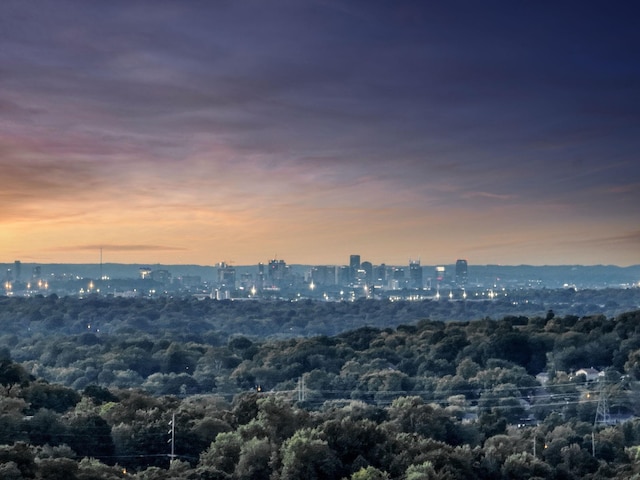 view of city