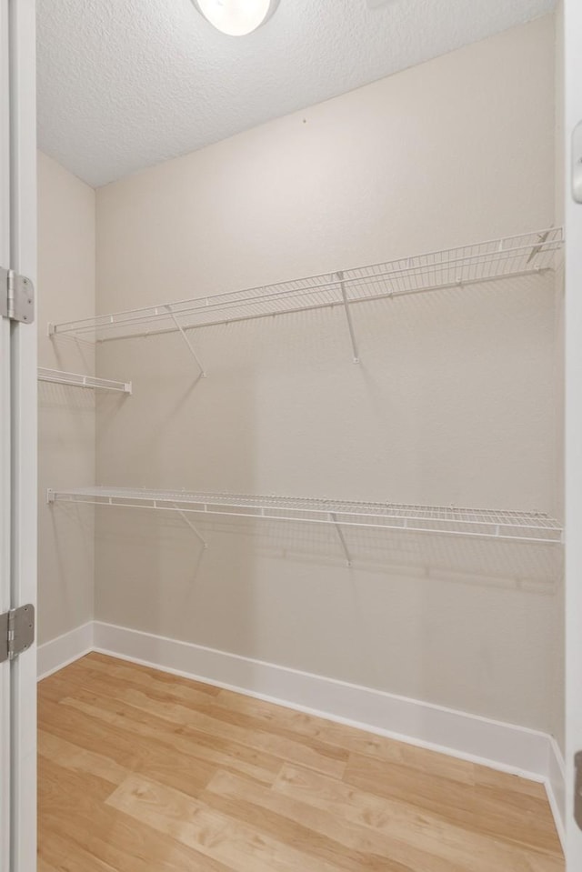 walk in closet with wood-type flooring