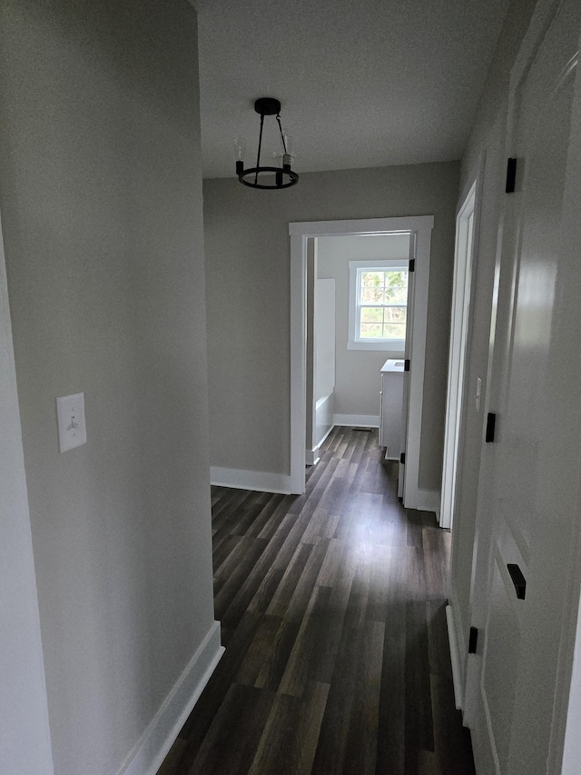 hall featuring dark hardwood / wood-style flooring