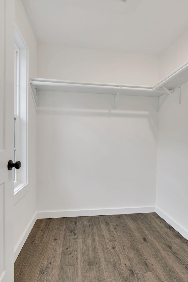 walk in closet with dark hardwood / wood-style flooring