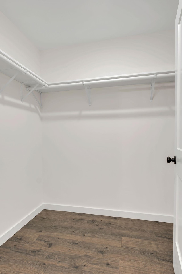 spacious closet featuring dark hardwood / wood-style floors