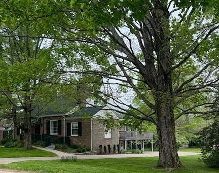115 Maplemere Dr, Clarksville, TN 37040 - back of house featuring a lawn