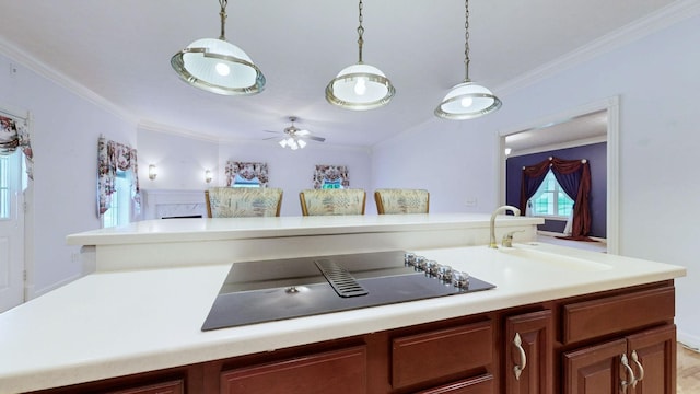 kitchen featuring black electric stovetop, a sink, light countertops, ornamental molding, and a ceiling fan
