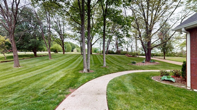 view of community featuring a yard