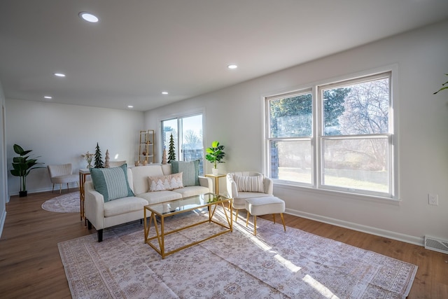 living room with wood-type flooring