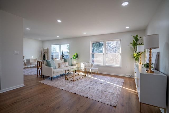 living room with dark hardwood / wood-style floors