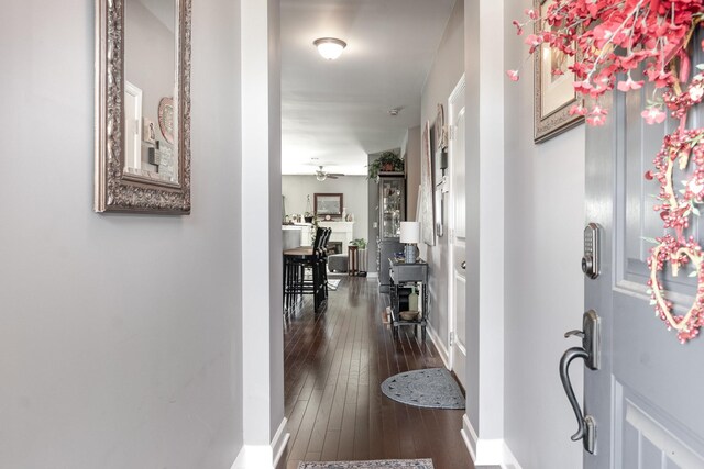 corridor featuring dark hardwood / wood-style flooring