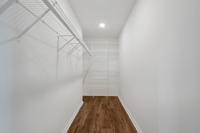 walk in closet featuring dark hardwood / wood-style floors