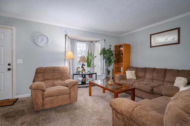 living room featuring crown molding, a textured ceiling, and carpet flooring