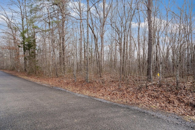 Listing photo 2 for 0 Wash Roberts Rd, Mc Minnville TN 37110