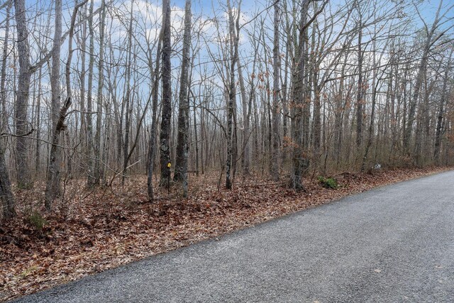 0 Wash Roberts Rd, Mc Minnville TN, 37110 land for sale