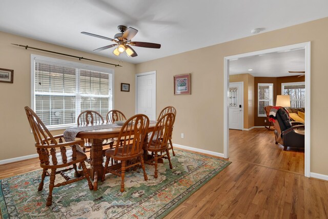 dining room featuring ceiling fan and wood-type flooring