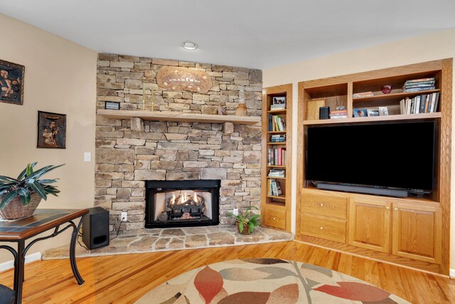 living room with a stone fireplace and wood-type flooring