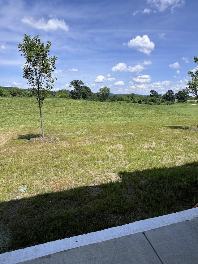 3520 Burgate Trl, Thompsons Station, TN 37179 - photo 20
