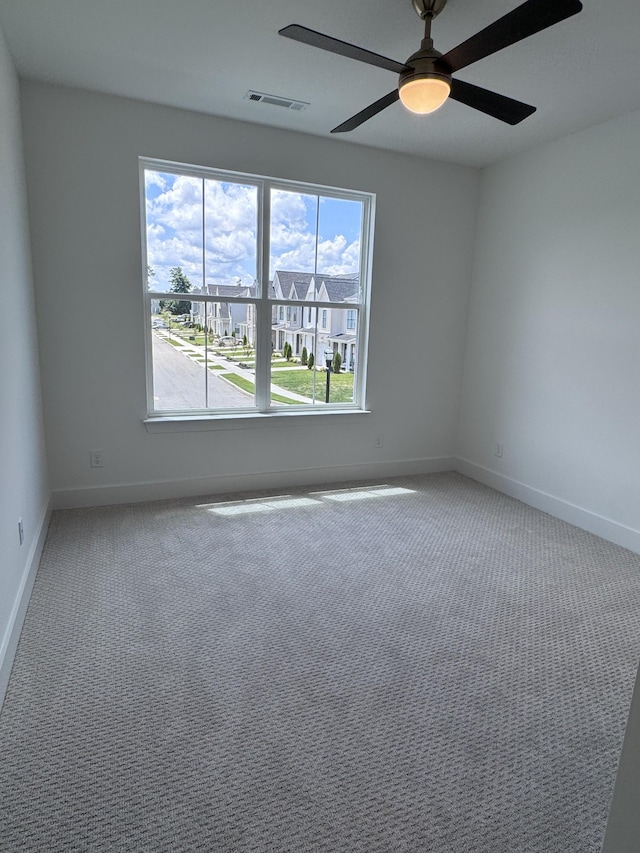 3520 Burgate Trl, Thompsons Station, TN 37179 - photo 17