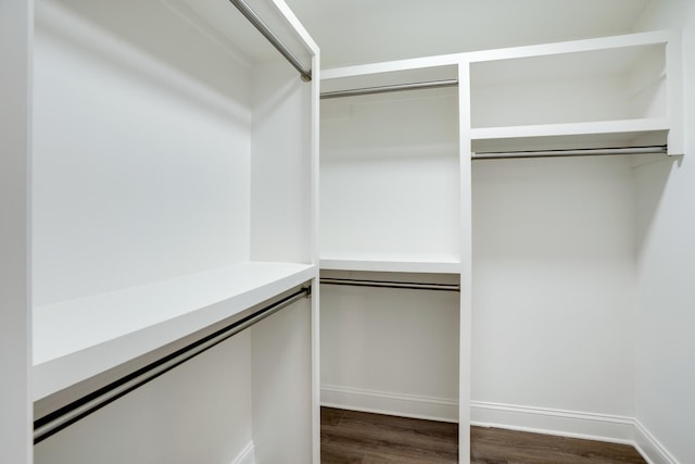 walk in closet featuring dark hardwood / wood-style flooring