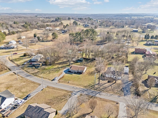 drone / aerial view