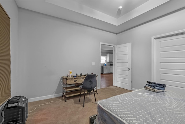 carpeted bedroom with a raised ceiling