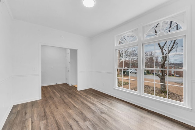 empty room featuring dark hardwood / wood-style flooring