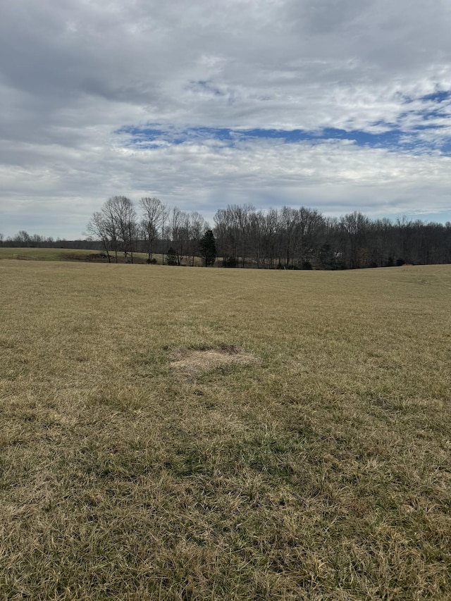 400 White Springs Rd, Lafayette TN, 37083 land for sale