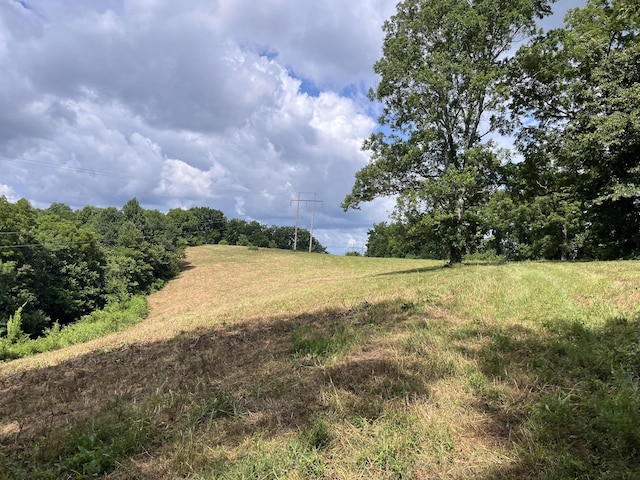 10 Temperance Cir, Hickman, TN 38567 - photo 67