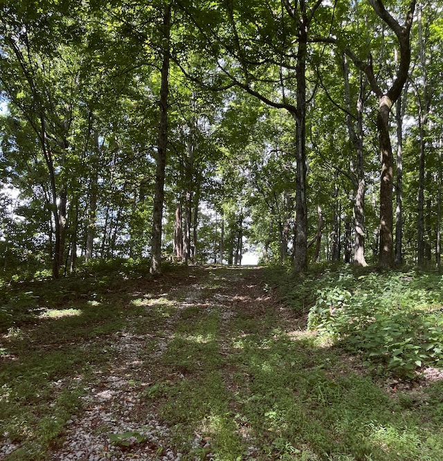 10 Temperance Cir, Hickman, TN 38567 - photo 60