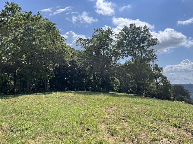 10 Temperance Cir, Hickman, TN 38567 - photo 66