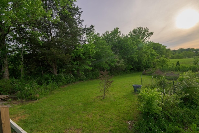 view of grassy yard