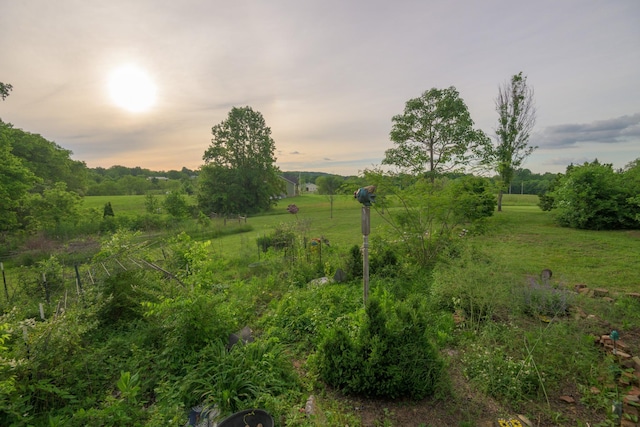 view of undeveloped land featuring rural landscape