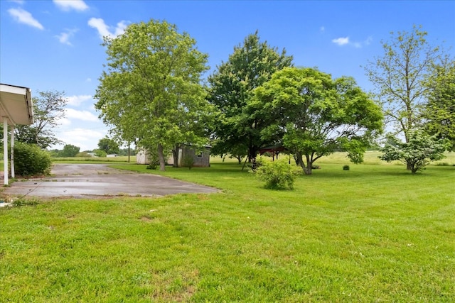 1144 Miller Rd, Lewisburg, TN 37091 - view of green lawn