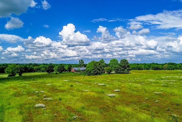 1144 Miller Rd, Lewisburg, TN 37091 - view of yard featuring a rural view