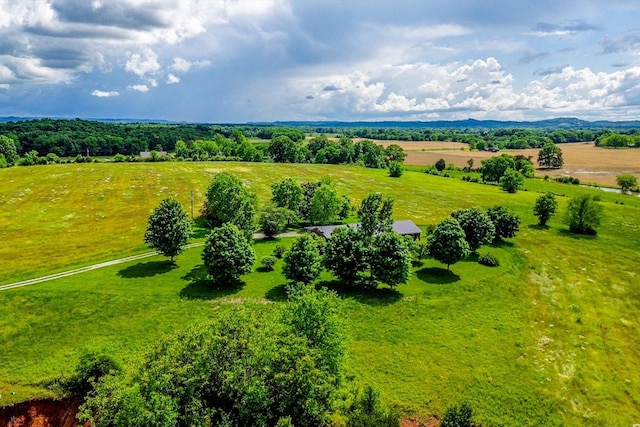 1144 Miller Rd, Lewisburg, TN 37091 - overview of rural landscape