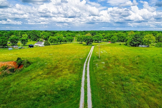 1144 Miller Rd, Lewisburg, TN 37091 - overview of rural landscape featuring a forest