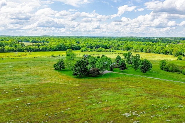 1144 Miller Rd, Lewisburg, TN 37091 - overview of rural landscape
