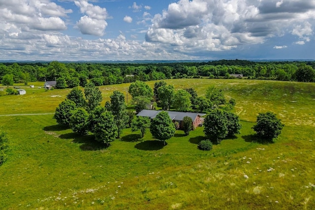 1144 Miller Rd, Lewisburg, TN 37091 - view of subject property featuring a forest