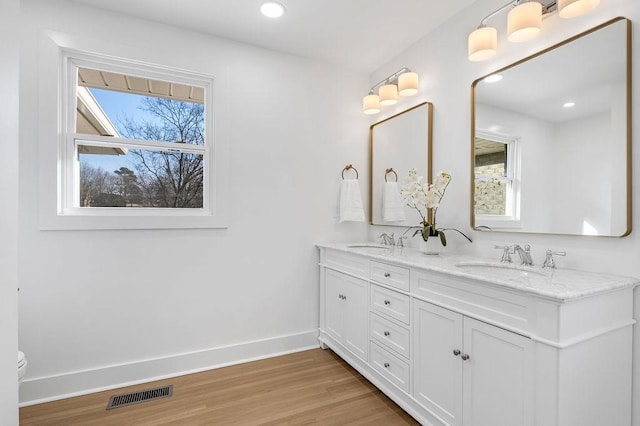 bathroom featuring wood-type flooring and vanity