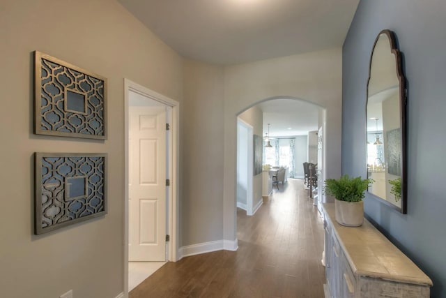 hall with hardwood / wood-style flooring