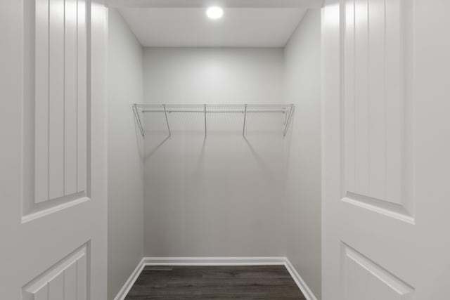 spacious closet with dark wood-type flooring